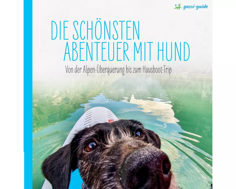 Die schönsten Abenteuer mit Hund