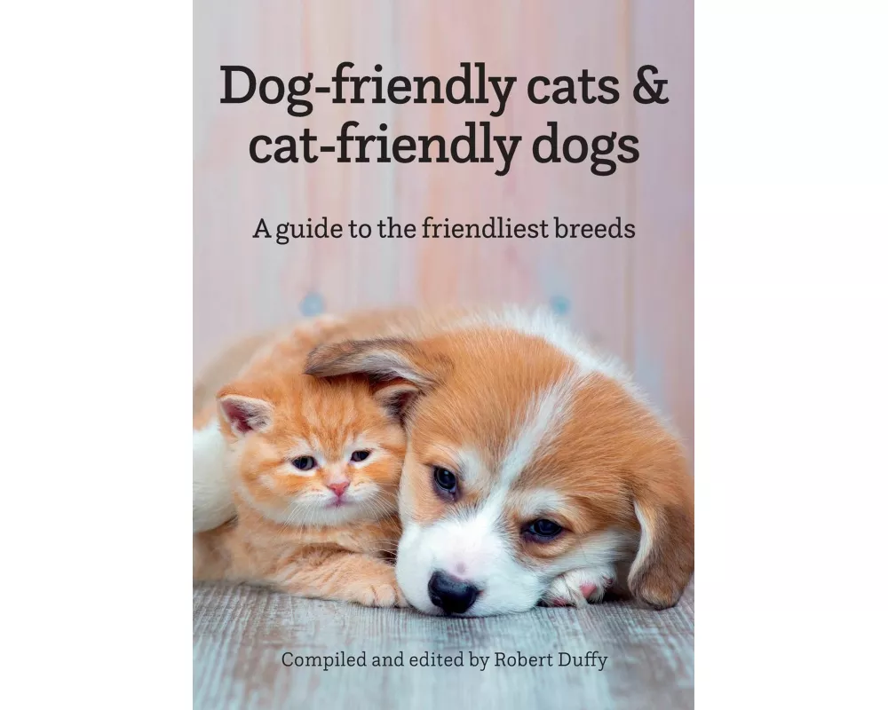 Dog-friendly cats & cat-friendly dogs