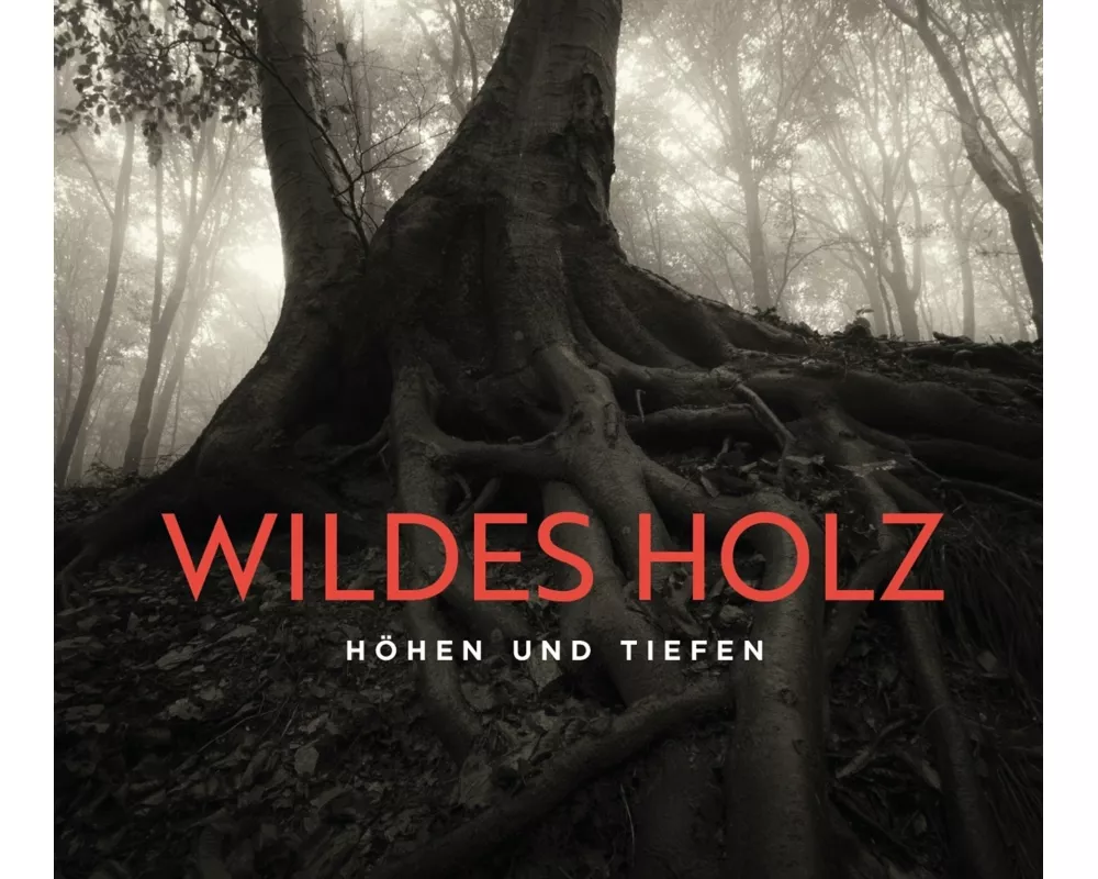 Höhen und Tiefen