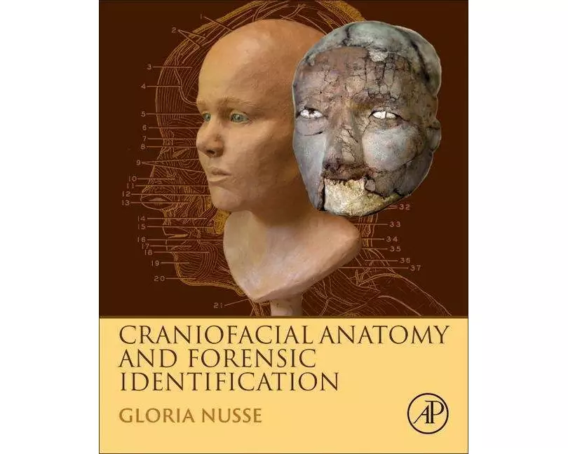 Craniofacial Anatomy and Forensic Identification