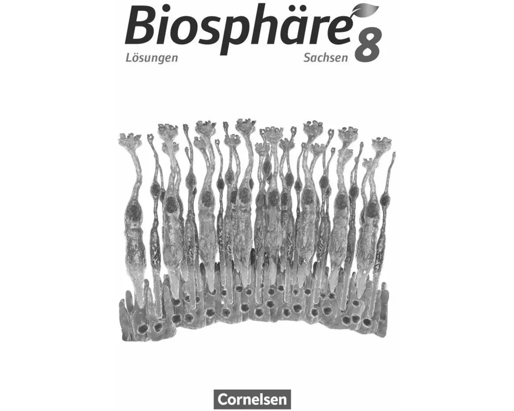 Biosphäre Sekundarstufe I, Gymnasium Sachsen 2020, 8. Schuljahr, Lösungen zum Schülerbuch