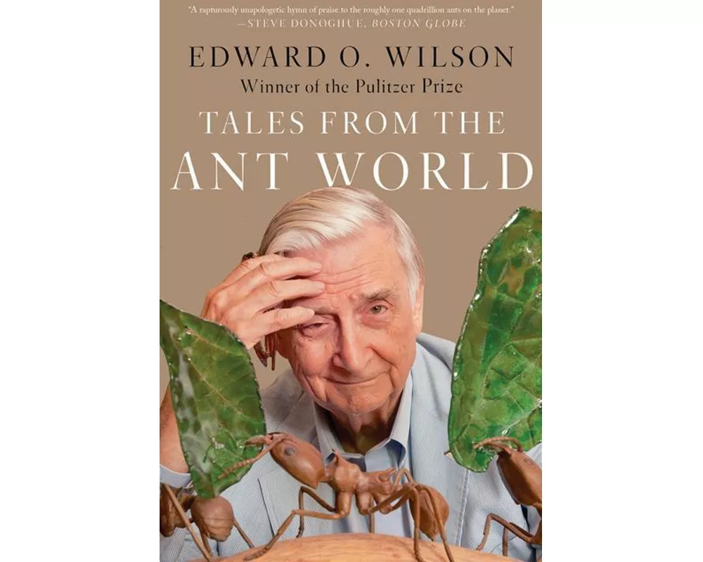 Tales from the Ant World