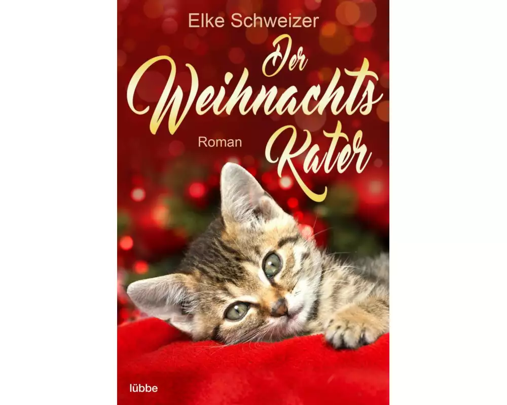 Der Weihnachtskater