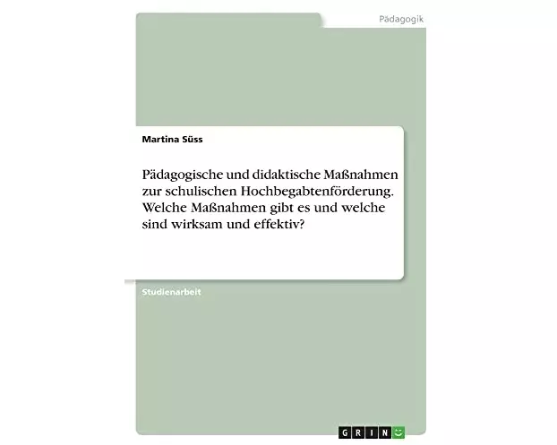 Pädagogische und didaktische Maßnahmen zur schulischen Hochbegabtenförderung. Welche Maßnahmen gibt es und welche sind wirksam und effektiv?