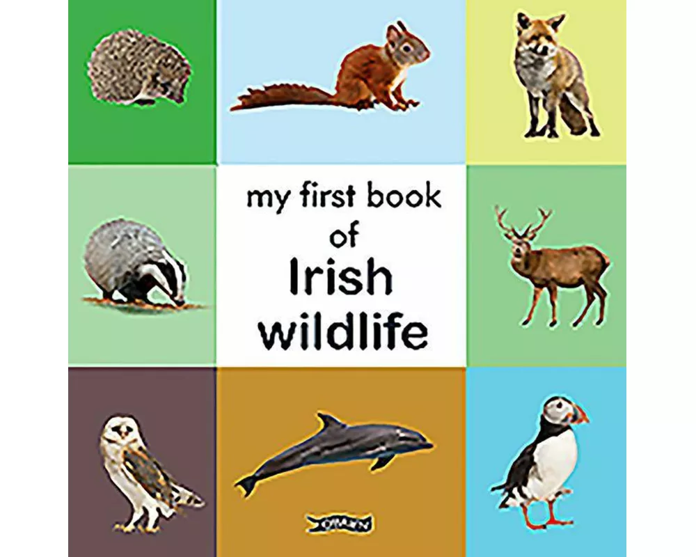 My First Book of Irish Wildlife