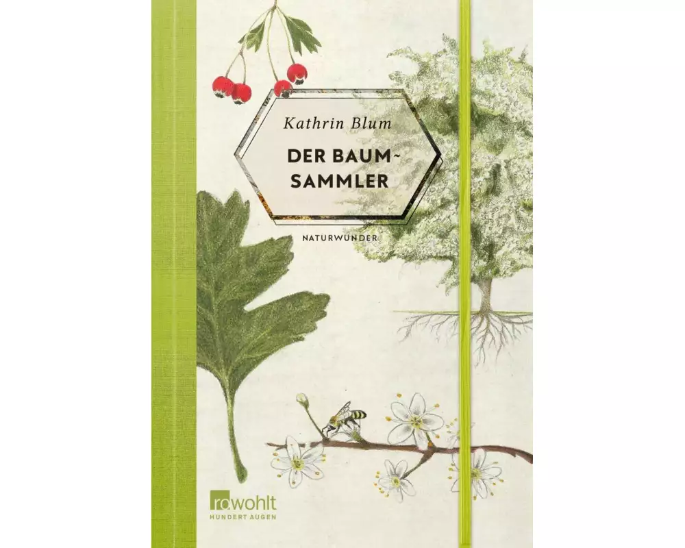 Der Baumsammler
