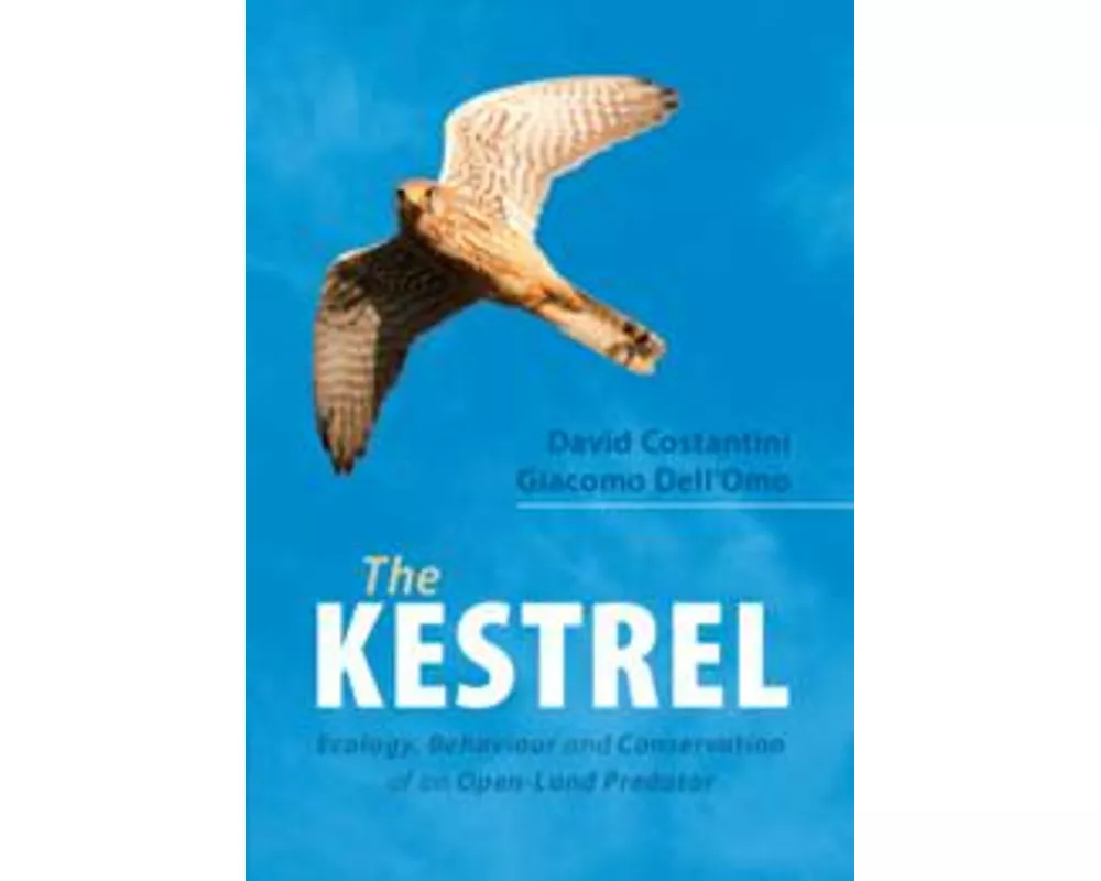 The Kestrel