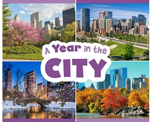 A Year in the City