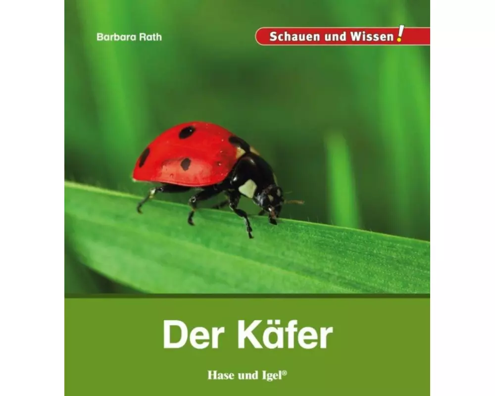 Der Käfer