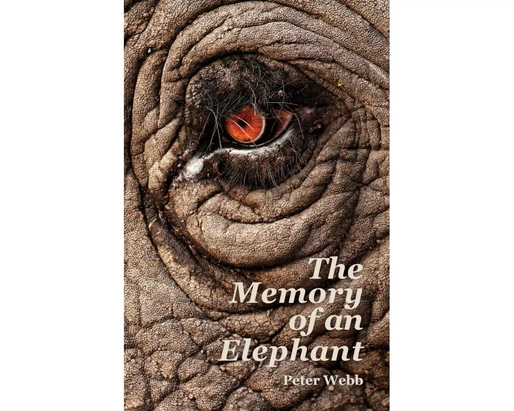 The Memory of an Elephant