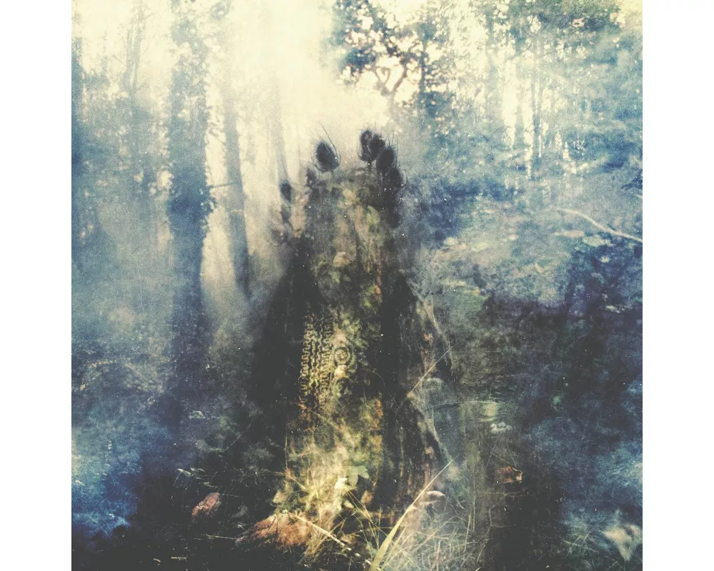 Wistful