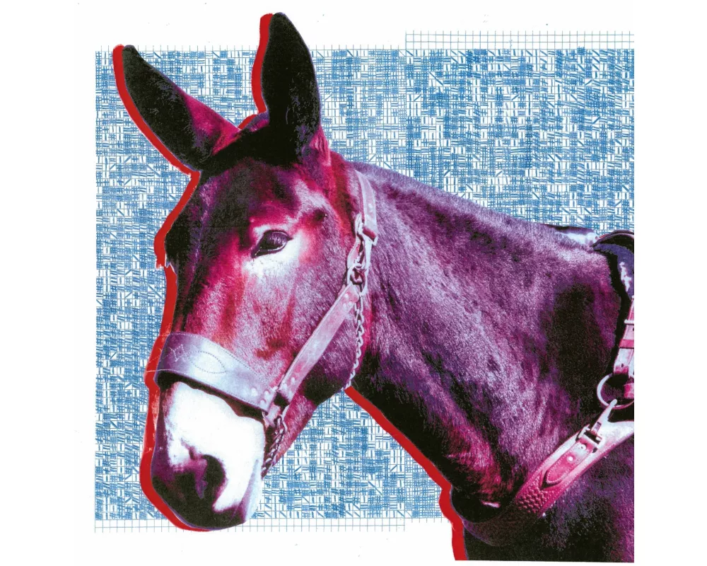 Ultimate Success Today