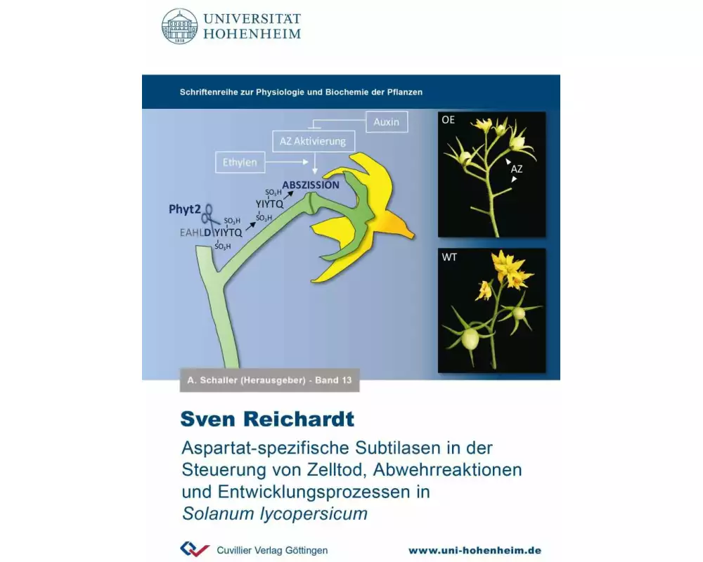 Aspartat-spezifische Subtilasen in der Steuerung von Zelltod, Abwehrreaktionen und Entwicklungsprozessen in Solanum lycopersicum