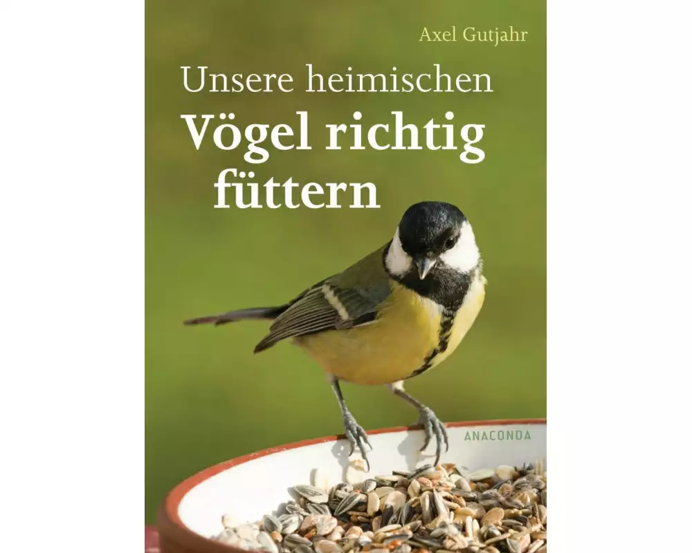 Unsere heimischen Vögel richtig füttern