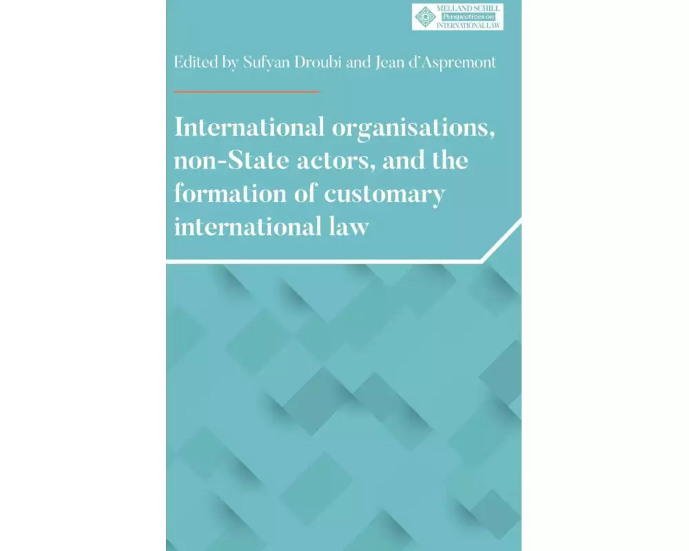International Organisations, Non-State Actors, and the Formation of Customary International Law