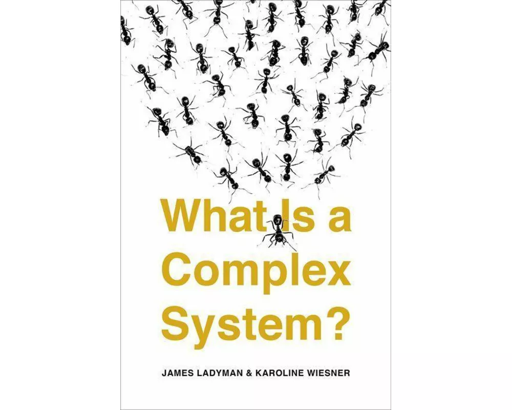 What Is a Complex System?