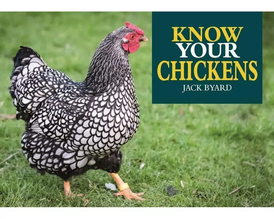 Know Your Chickens