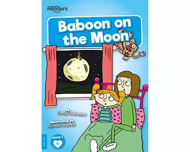 Baboon on the Moon