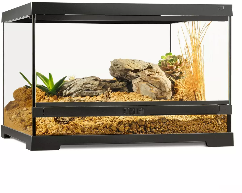 Exo Terra Pro Terrarium - 45 x 45 x 30cm – Steghöhe: 70 mm