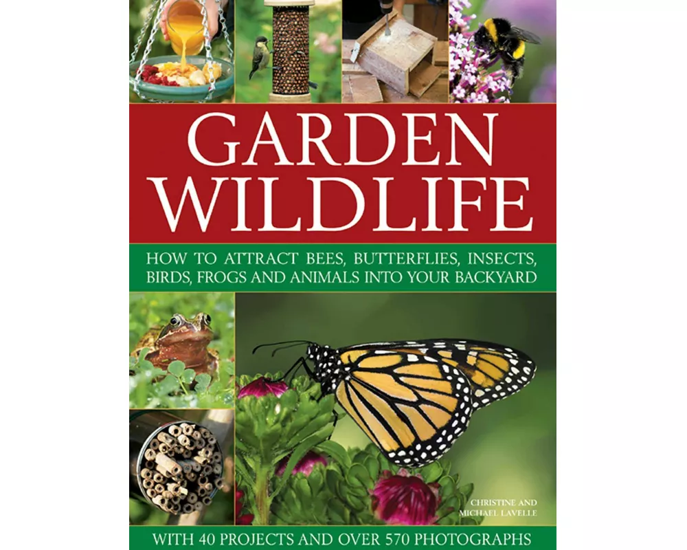 Garden Wildlife