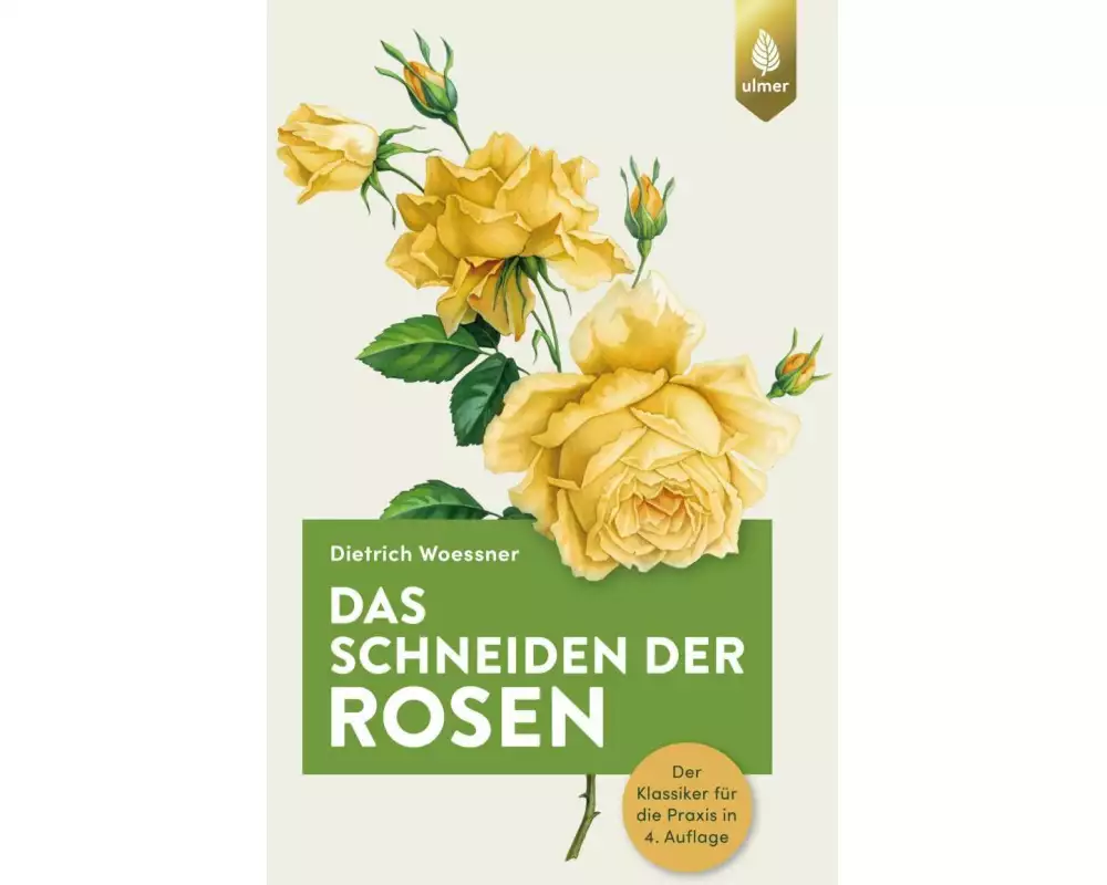 Das Schneiden der Rosen