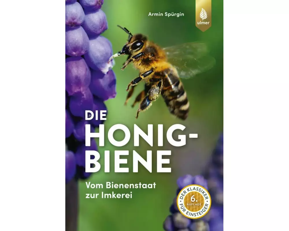 Die Honigbiene