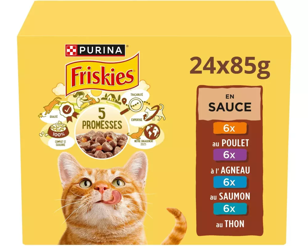 Purina Friskies Nassfutter Adult Fleisch Fisch in Sauce 24 x 85 g
