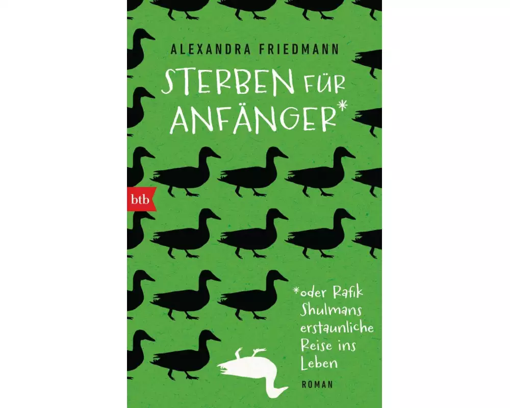 Sterben für Anfänger oder Rafik Shulmans erstaunliche Reise ins Leben