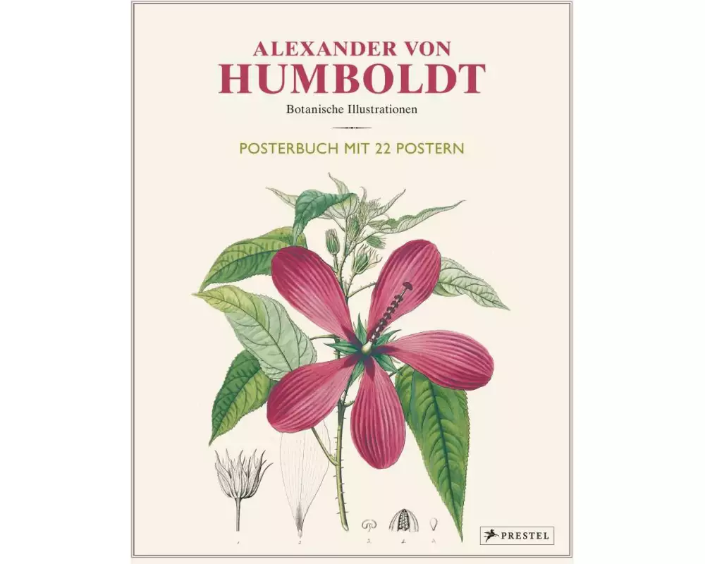 Alexander von Humboldt: Botanische Illustrationen. Posterbuch mit 22 Postern