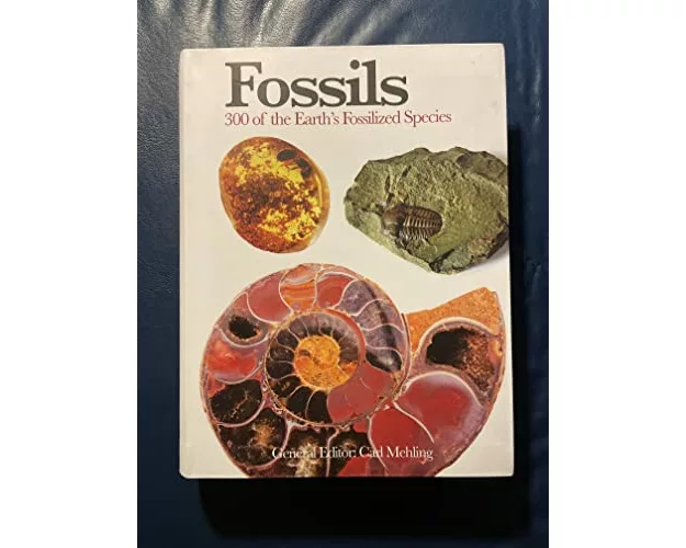 Fossils