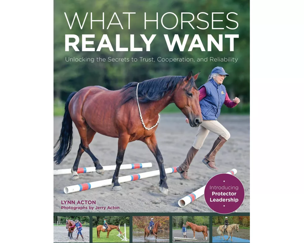What Horses Really Want