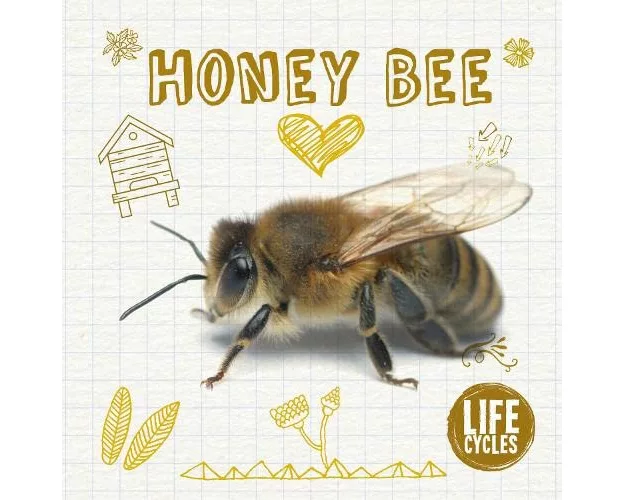 Honey Bee
