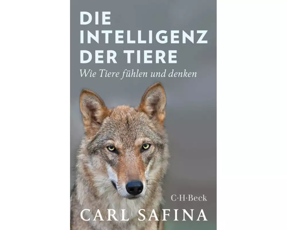 Die Intelligenz der Tiere