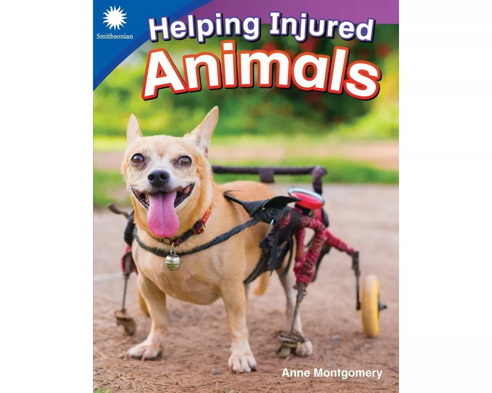 Helping Injured Animals