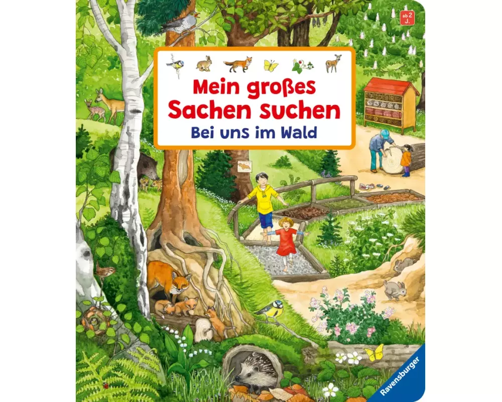 Mein großes Sachen suchen: Bei uns im Wald