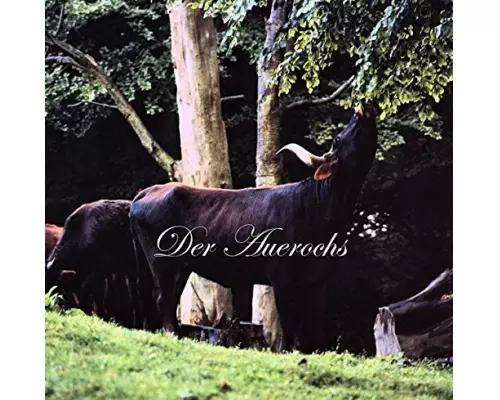 Der Auerochs