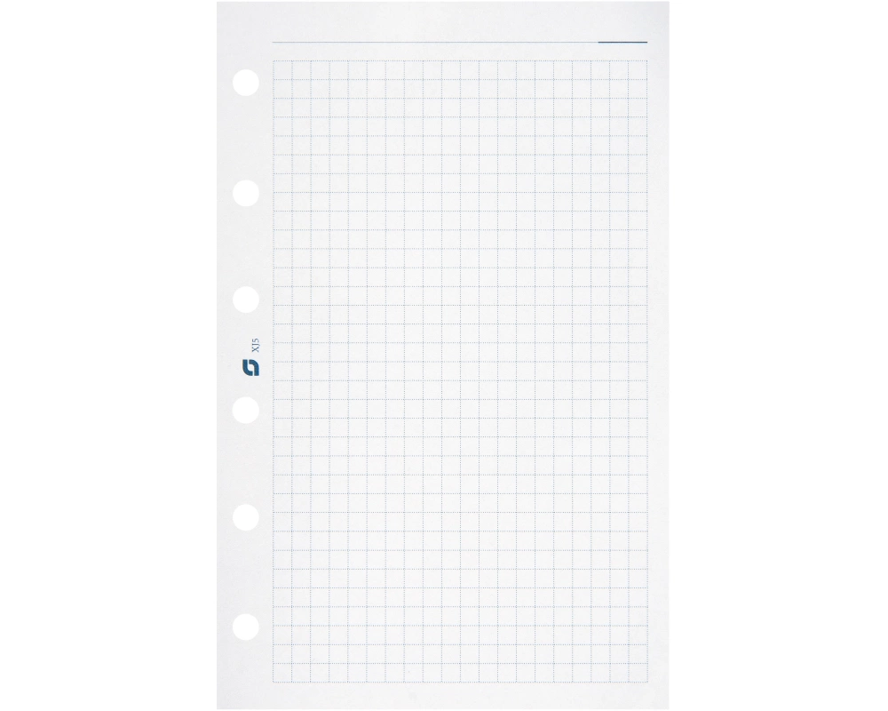 SUCCES Agenda Junior Notizpapier 84200500U kariert weiss 8x12.5cm
