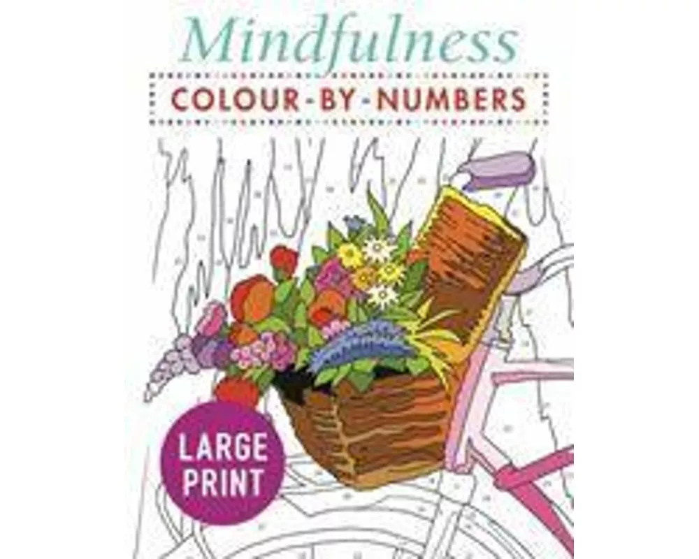 Mindfulness Colour-by-Numbers Large Print