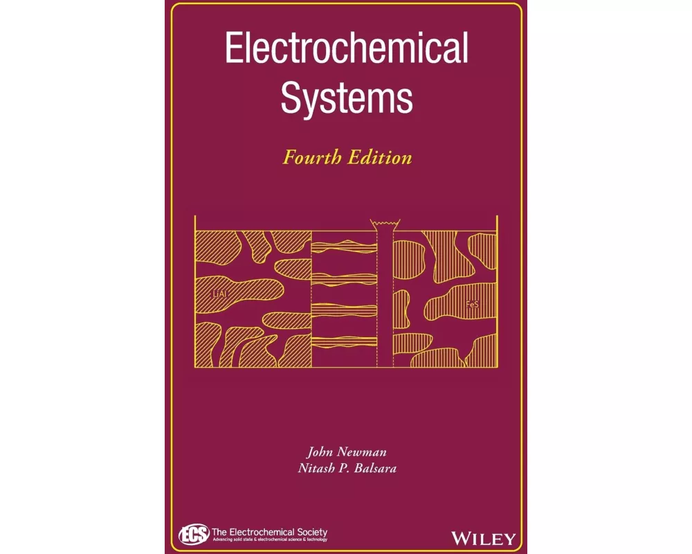 Electrochemical Systems