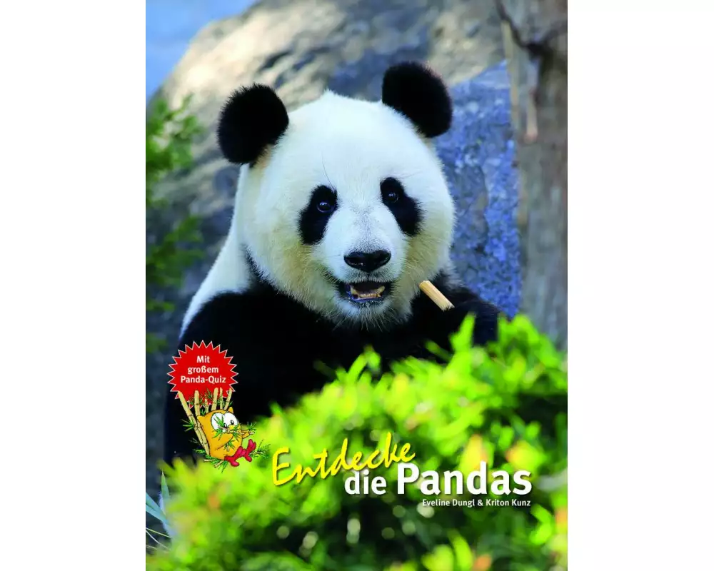 Entdecke die Pandas