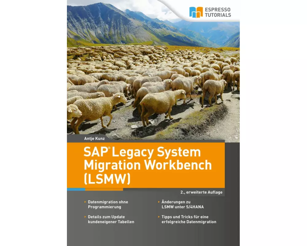 SAP Legacy System Migration Workbench (LSMW)