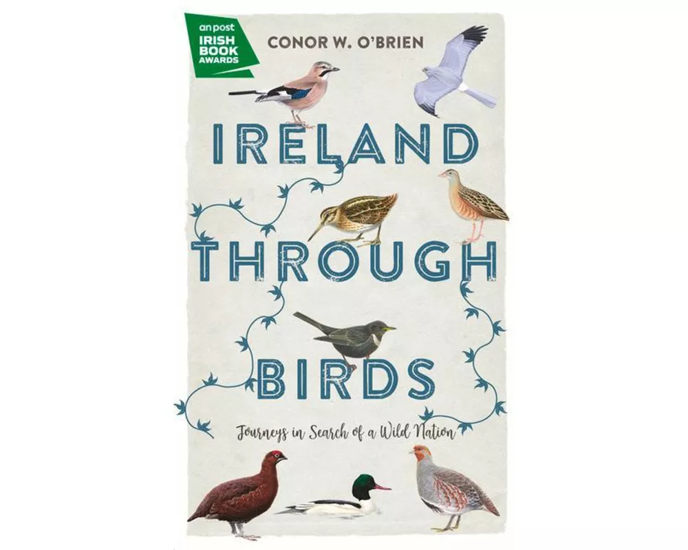 Ireland Through Birds