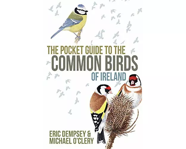 The Pocket Guide to the Common Birds of Ireland