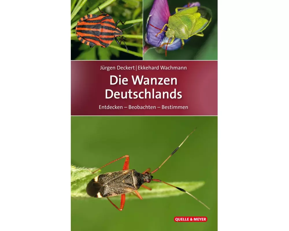 Die Wanzen Deutschlands