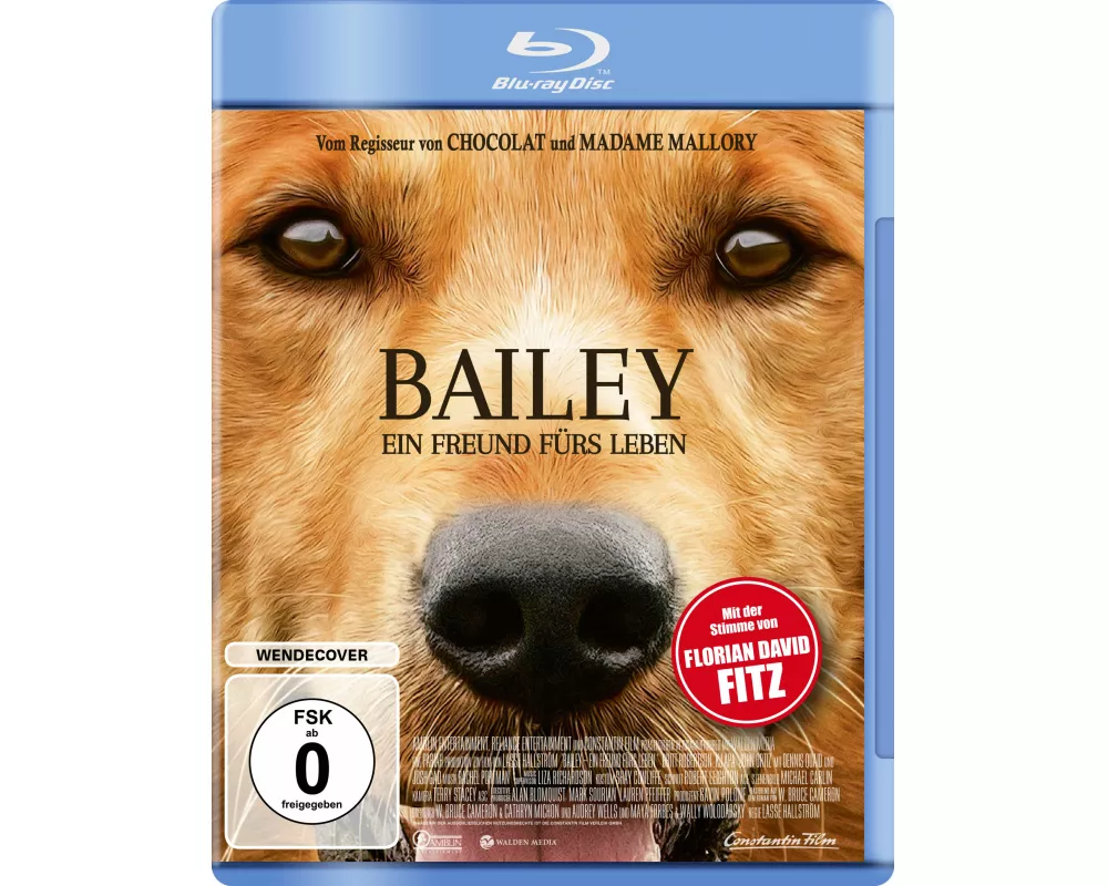 Bailey - Ein Freund fürs Leben