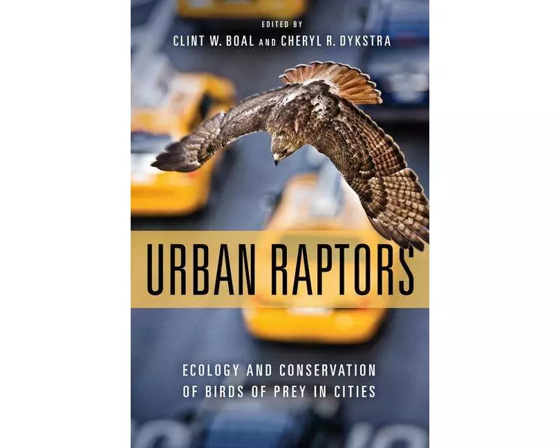Urban Raptors