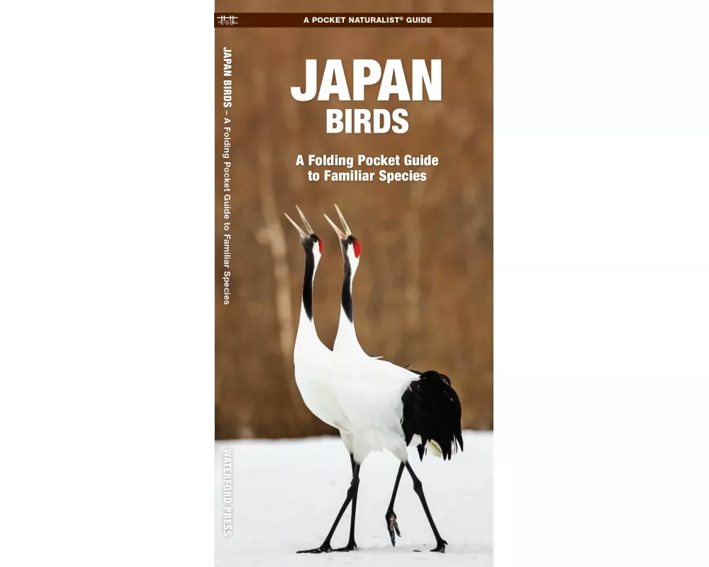 Japan Birds