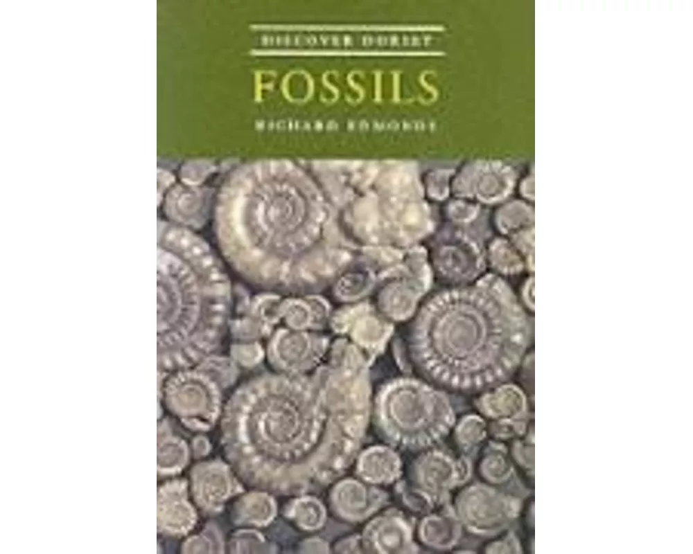 Discover Dorset Fossils