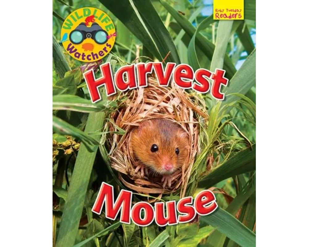 Wildlife Watchers: Harvest Mouse