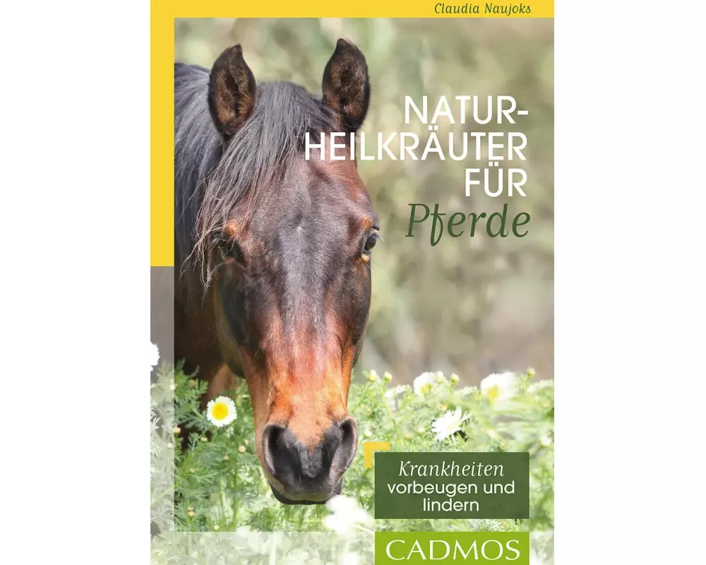 Naturheilkräuter für Pferde